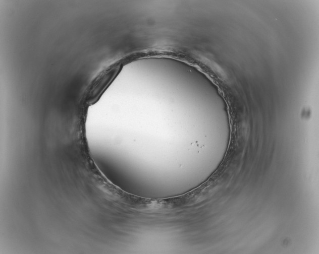X0000090461160200708102105