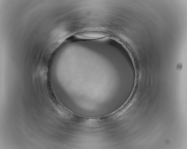 X0000090461161200708102105