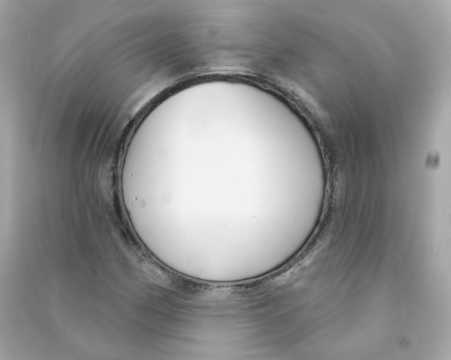 X0000090461162200708102105