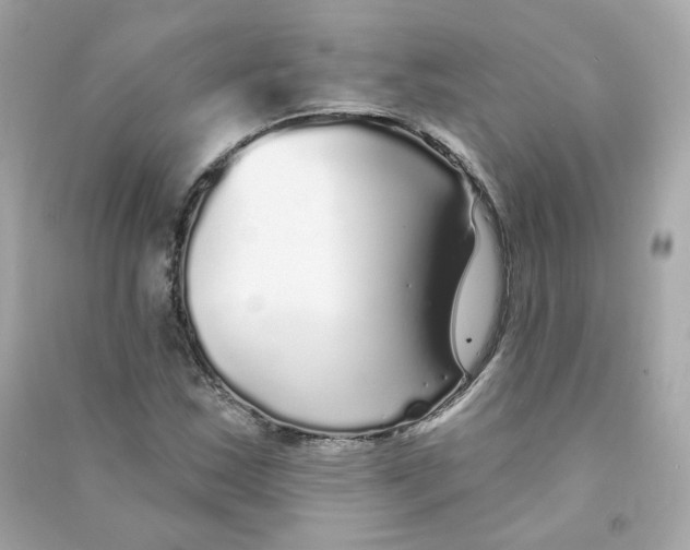 X0000090461163200708102105