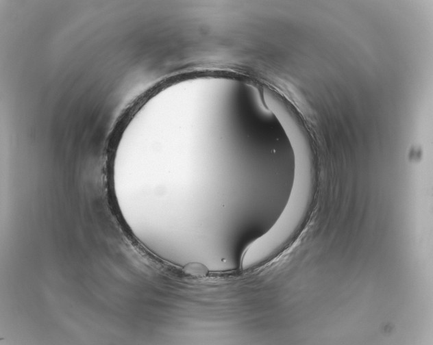 X0000090461164200708102105