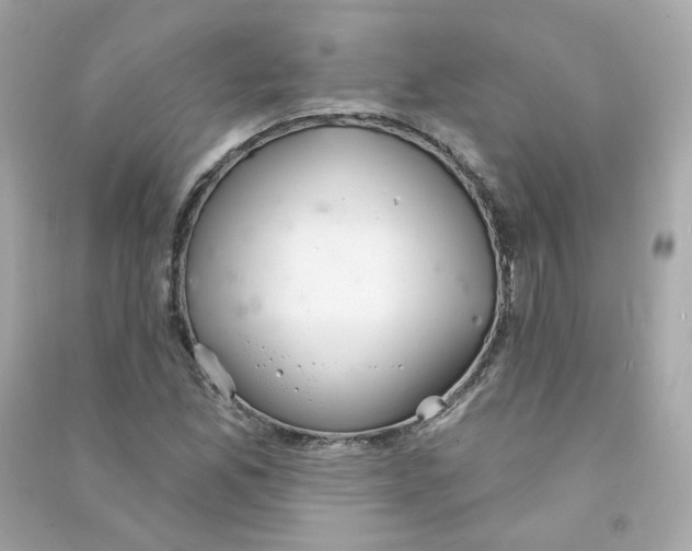 X0000090461165200708102105
