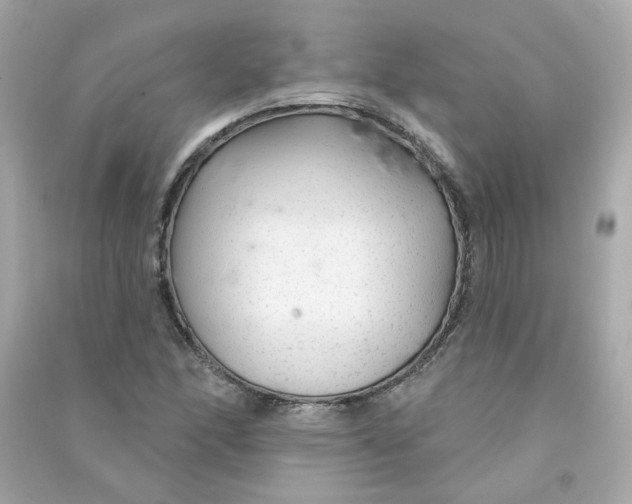 X0000090461166200708102105