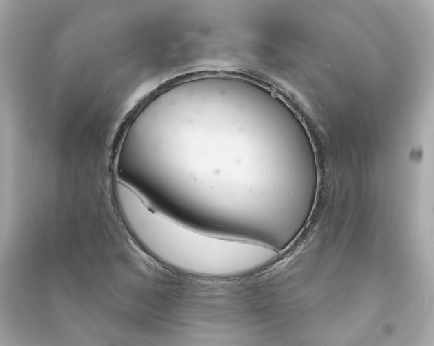 X0000090461168200708102105