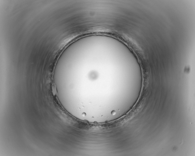 X0000090461169200708102105