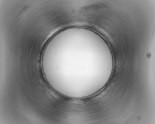 X0000090461170200708102105