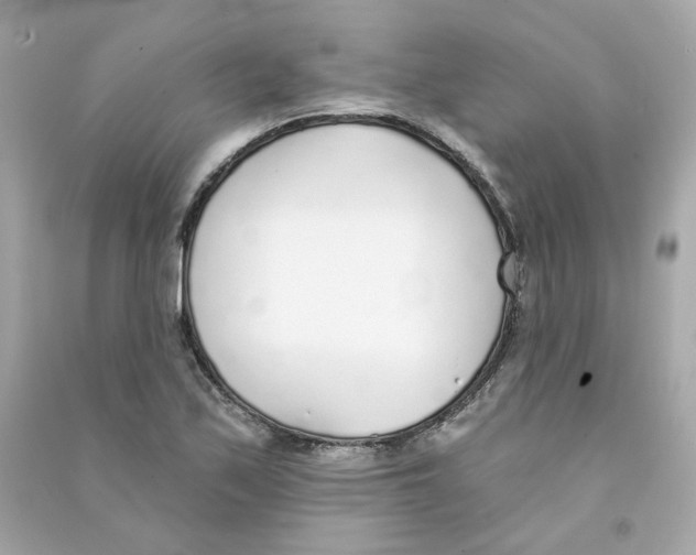 X0000090461171200708102105