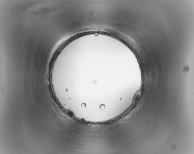 X0000090461172200708102105