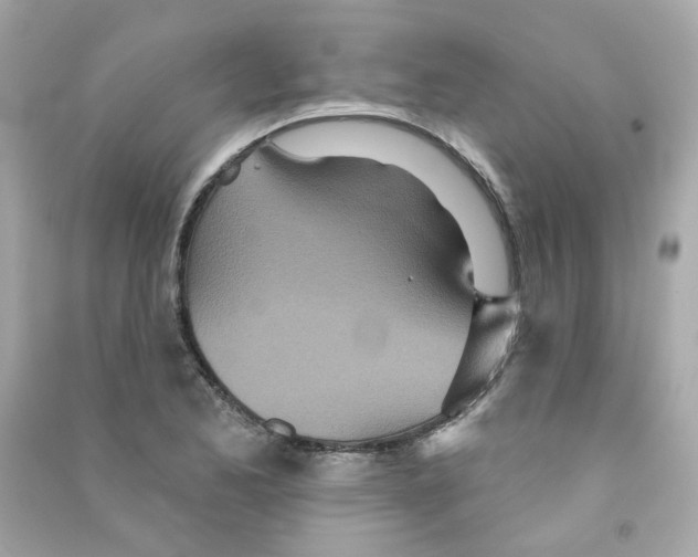 X0000090461173200708102105