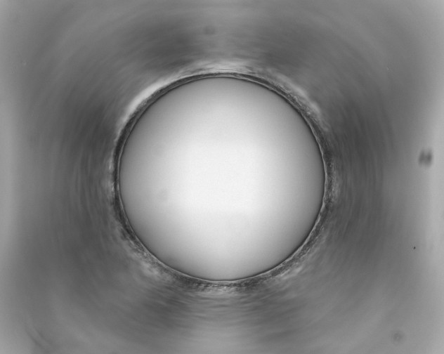 X0000090461174200708102105