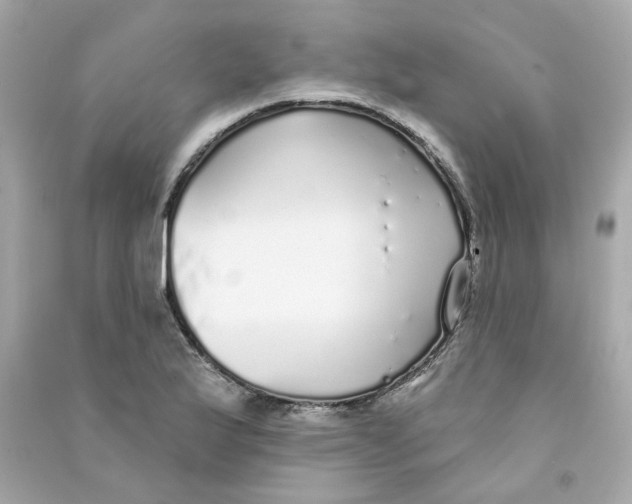 X0000090461175200708102105