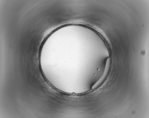 X0000090461176200708102105