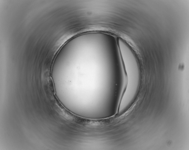 X0000090461177200708102105