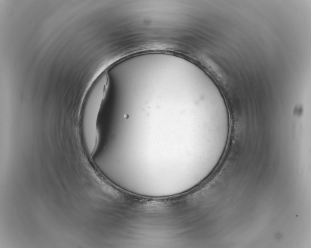X0000090461178200708102105