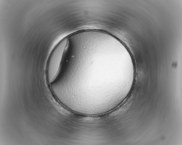 X0000090461179200708102105