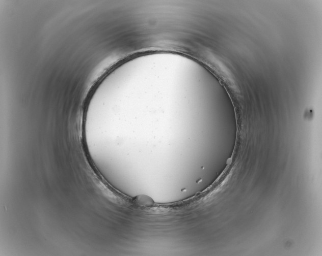 X0000090461180200708102105