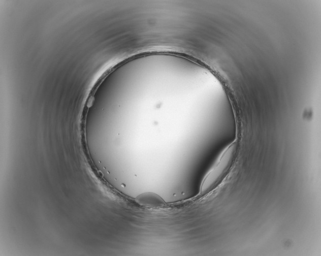 X0000090461181200708102105