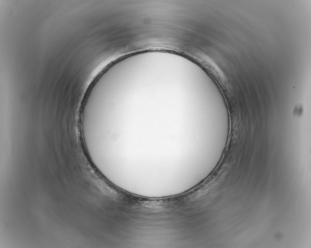 X0000090461182200708102105