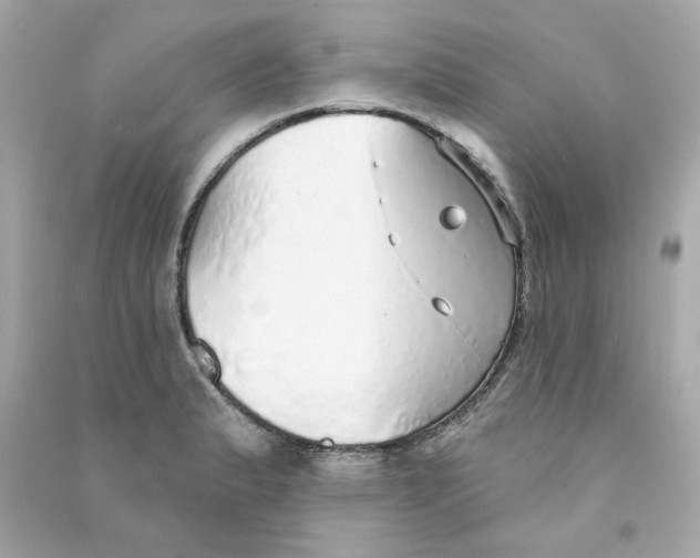 X0000090461183200708102104