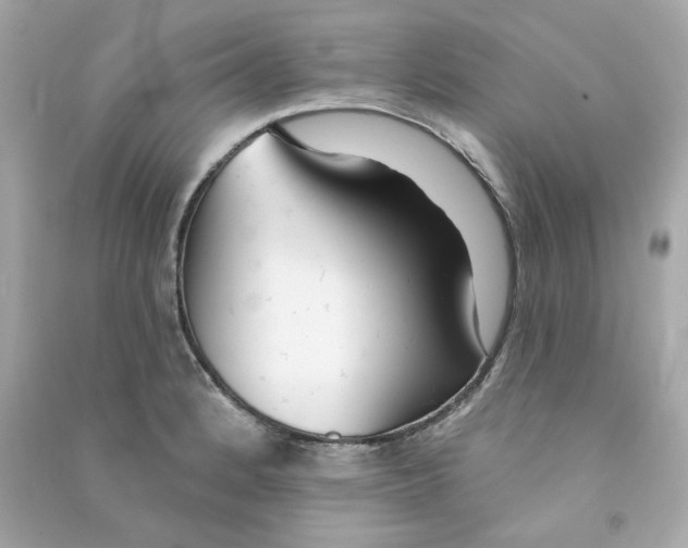 X0000090461184200708102104