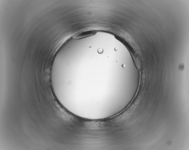 X0000090461185200708102104