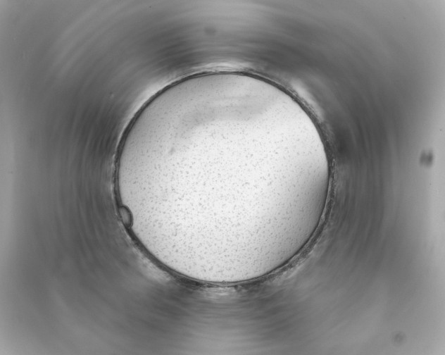 X0000090461186200708102104