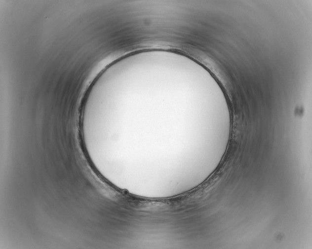 X0000090461187200708102104