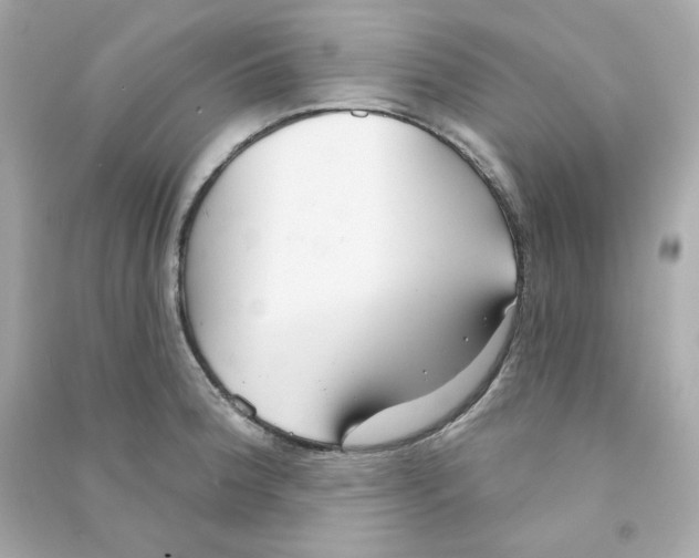 X0000090461188200708102104