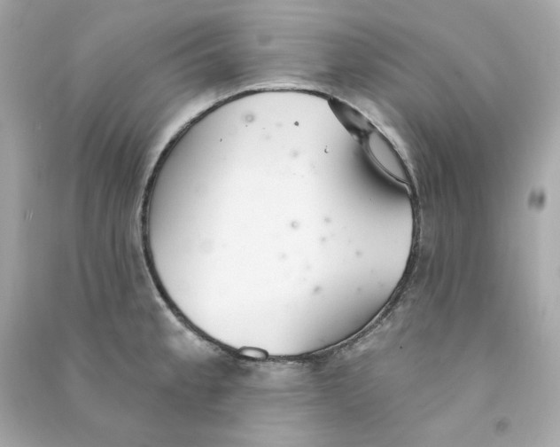 X0000090461189200708102104