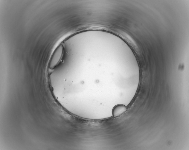 X0000090461190200708102104