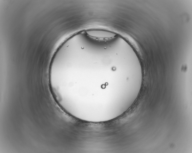 X0000090461191200708102104