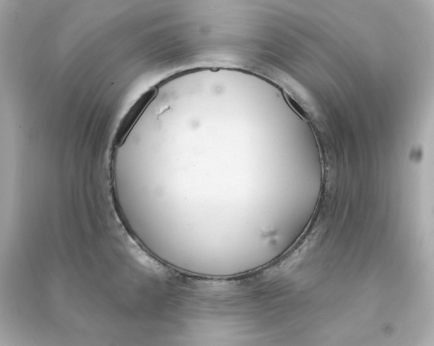 X0000090461192200708102104