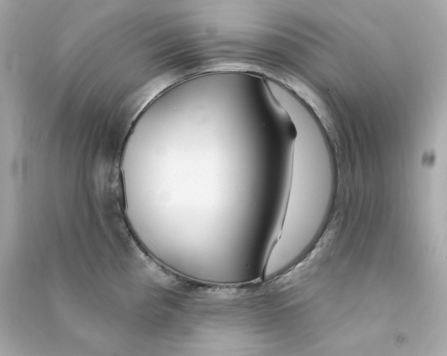 X0000090461193200708102104