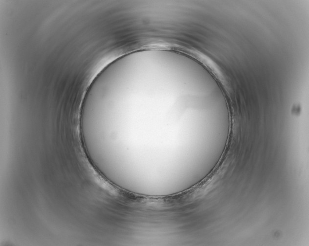 X0000090461194200708102104