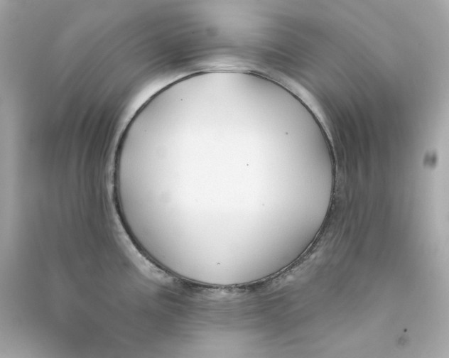 X0000090461195200708102104