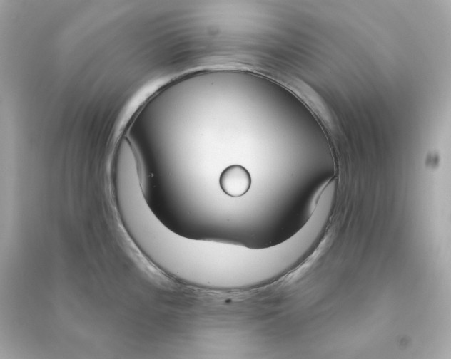 X0000090461196200708102104