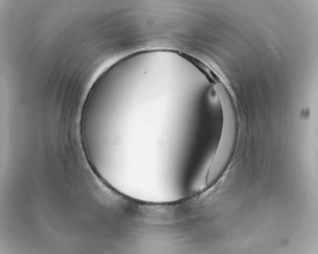 X0000090461197200708102104