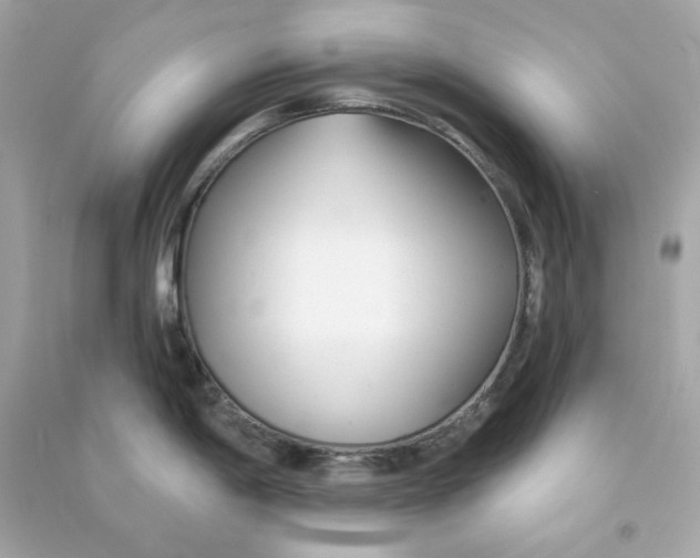 X0000090461198200708102104