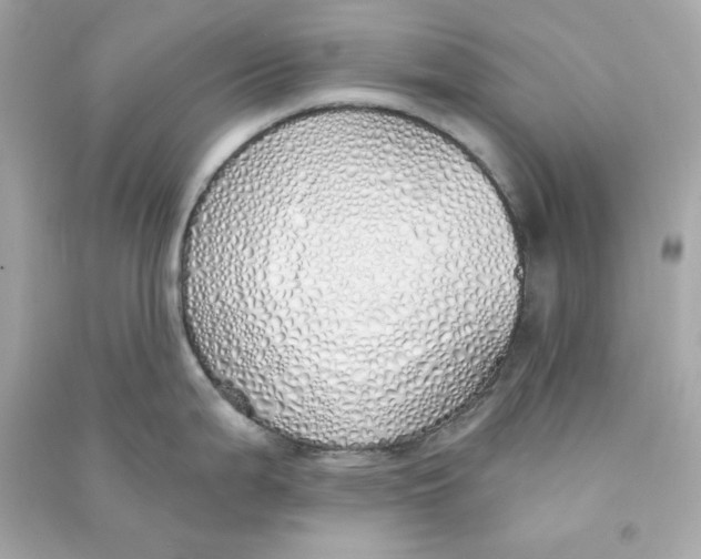 X0000090461199200708102104