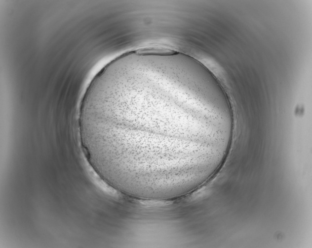 X0000090461200200708102104