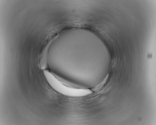 X0000090461202200708102104