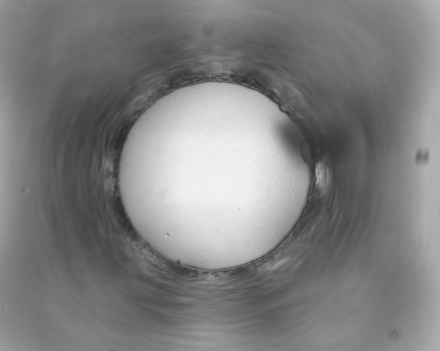 X0000090461203200708102104