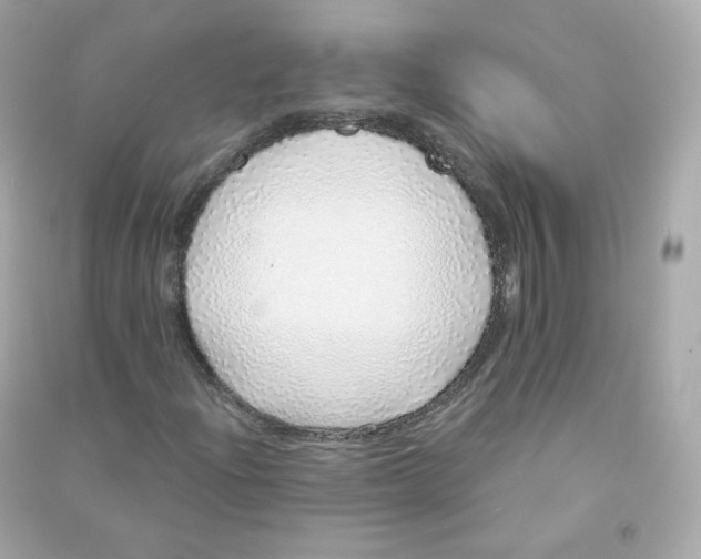 X0000090461204200708102104