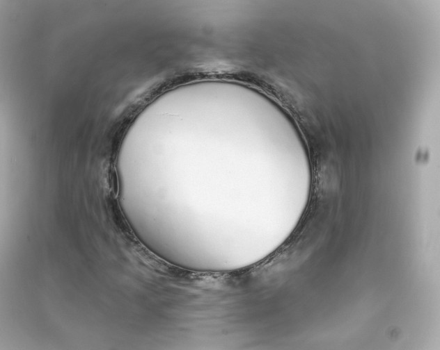 X0000090461205200708102104