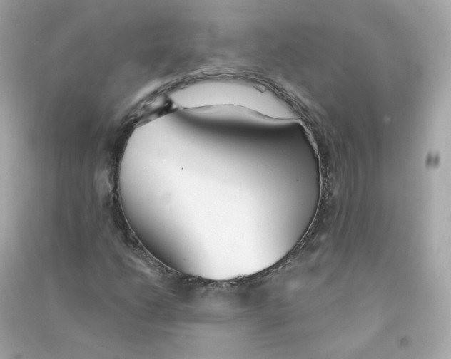 X0000090461206200708102104