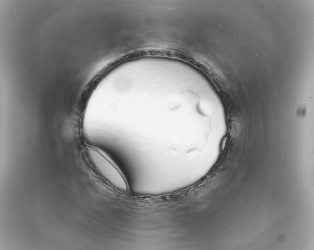 X0000090461208200708102104