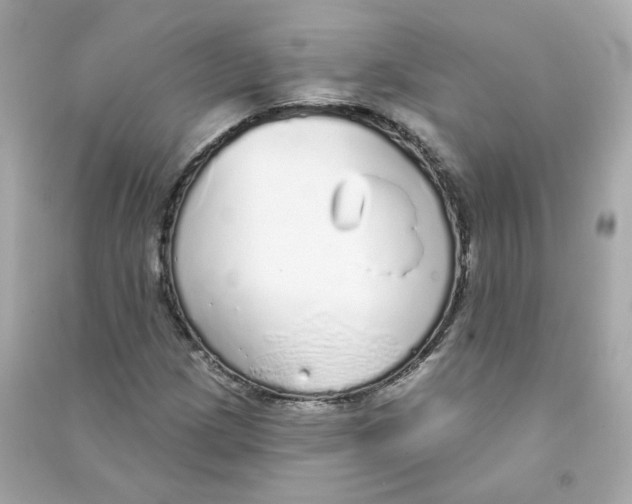 X0000090461209200708102104