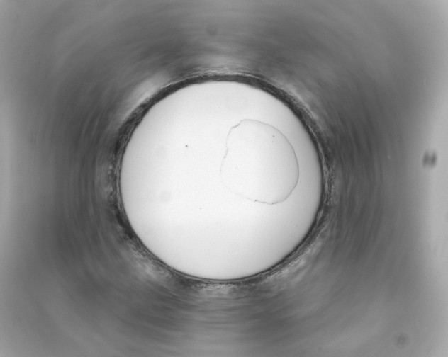 X0000090461211200708102104
