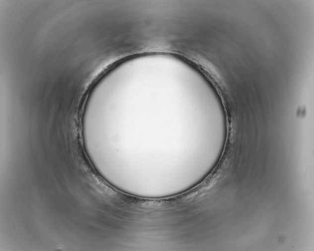 X0000090461212200708102104