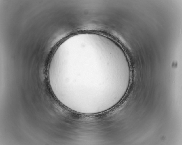 X0000090461213200708102104